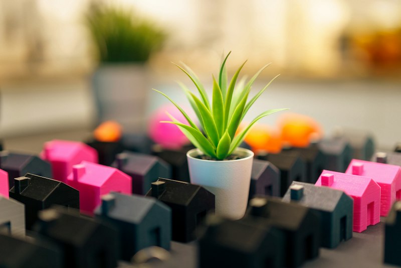 A plant grows among toy houses of various colors